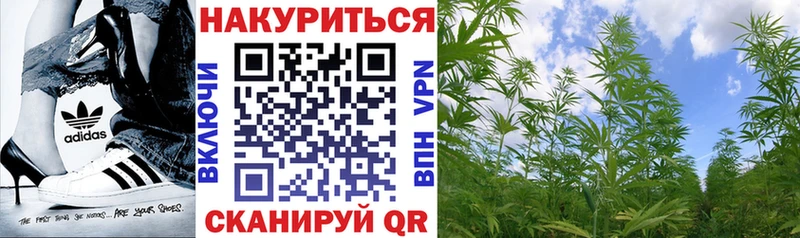 Где купить наркоту Называевск A-PVP  COCAIN  ГАШИШ  Конопля 